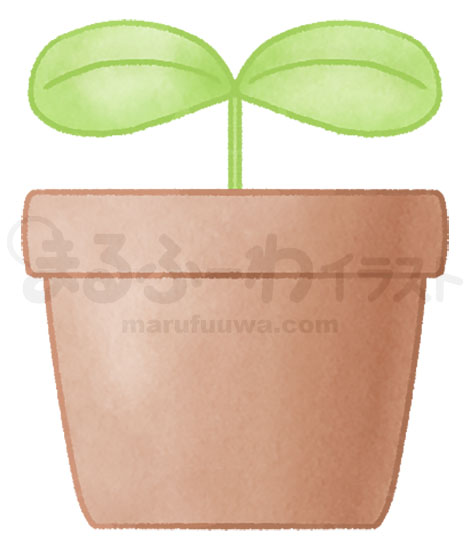 水彩風無料フリー素材のサンプル　茶色い植木鉢から出た双葉の芽のイラスト