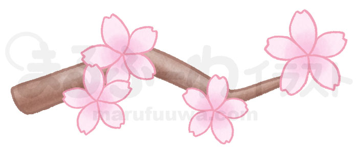 水彩風無料フリー素材のサンプル　桜の花が咲いた枝のイラスト