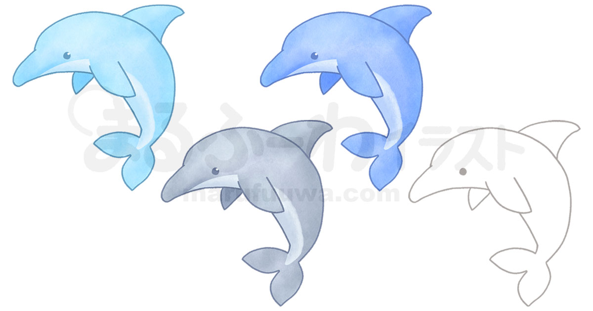 水彩風と線画のかわいい無料フリー素材　シンプルなイルカのイラスト