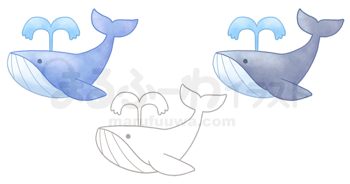 水彩風と線画のかわいい無料フリー素材　シンプルなクジラのイラスト
