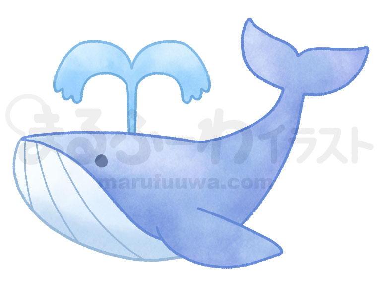 水彩風無料フリー素材のサンプル　青いシンプルなクジラのイラスト