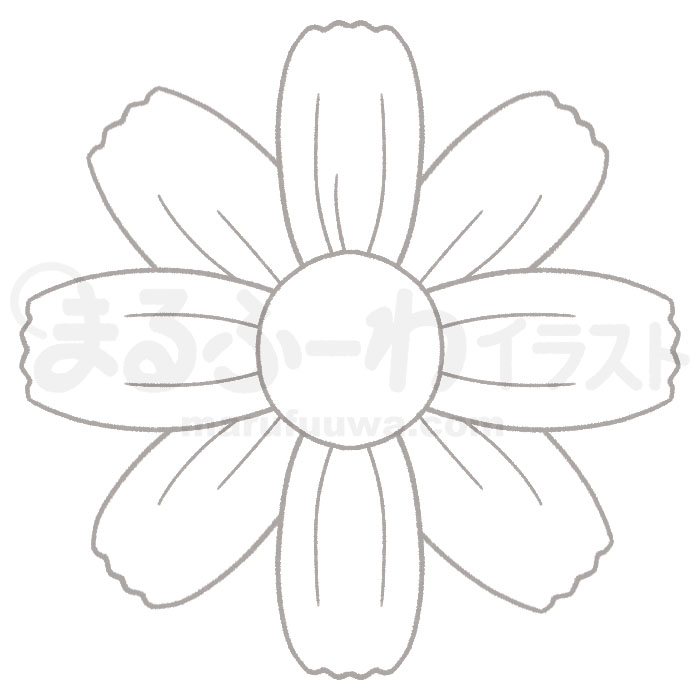 白黒線画の無料フリー素材のサンプル　コスモスの花のイラスト