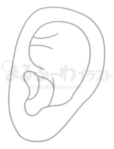 白黒線画の無料フリー素材のサンプル　左耳のイラスト