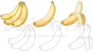 水彩風と線画のかわいい無料フリー素材　バナナのイラスト