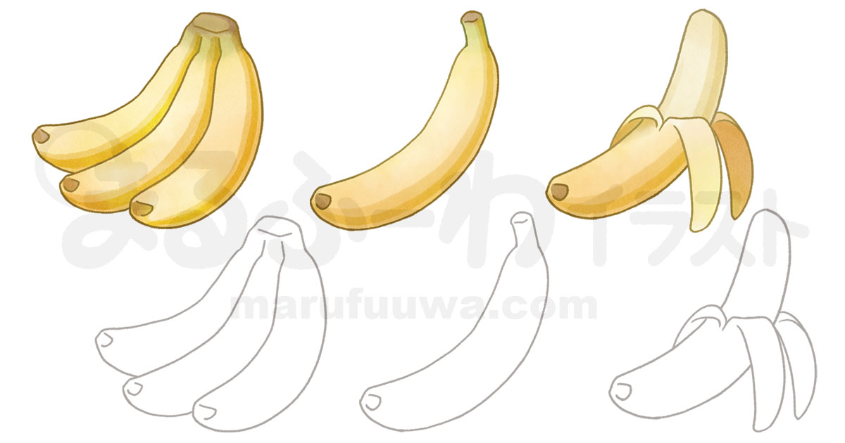 水彩風と線画のかわいい無料フリー素材　バナナのイラスト